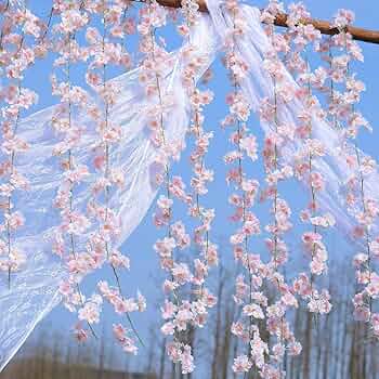 藤の造花 シルク 藤の花　リース 長さ39.4インチ パーティー ステージ 71csVD36nDL._UF894,1000_QL80_.jpg
